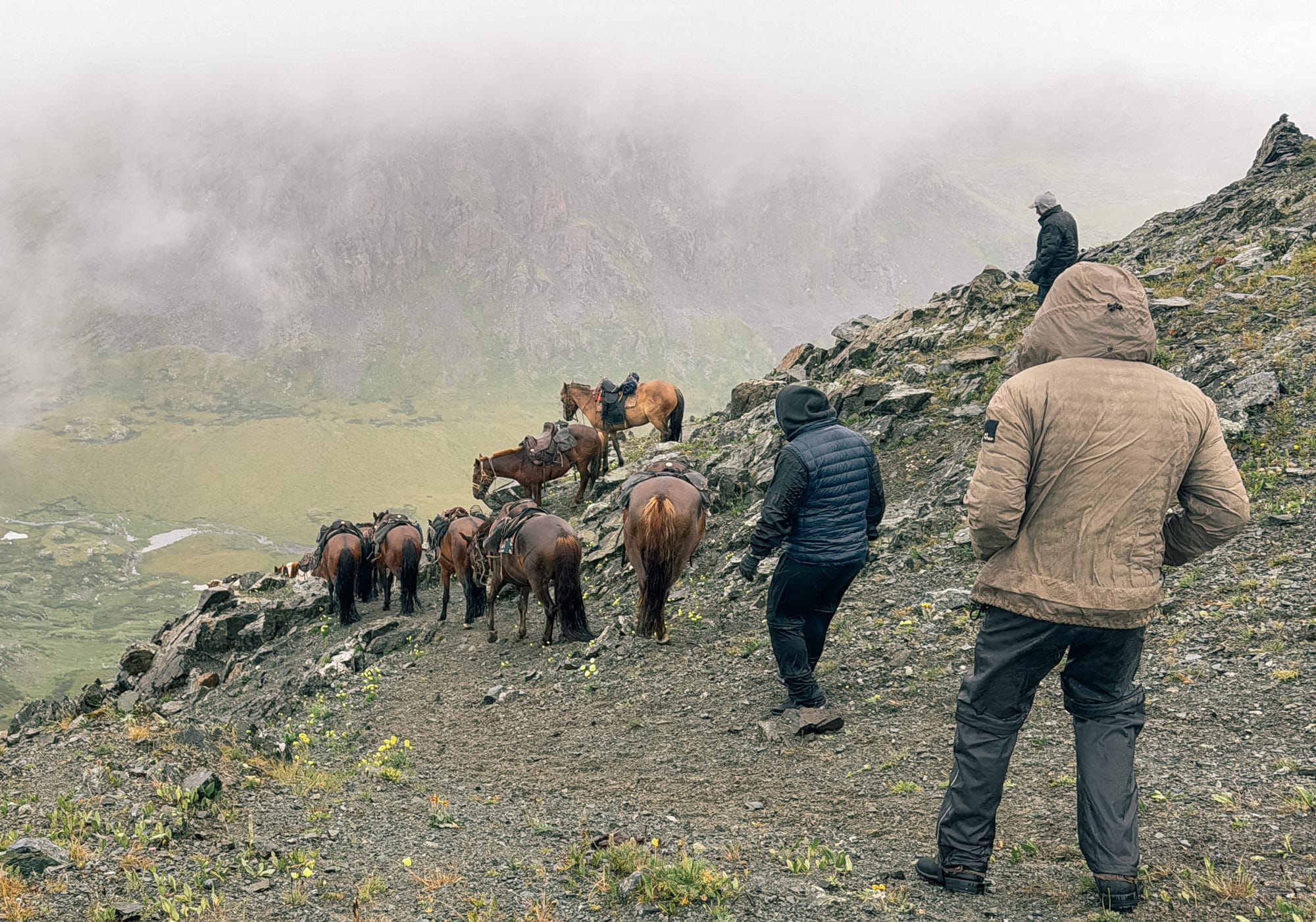 horses going downhill altai trekking trip