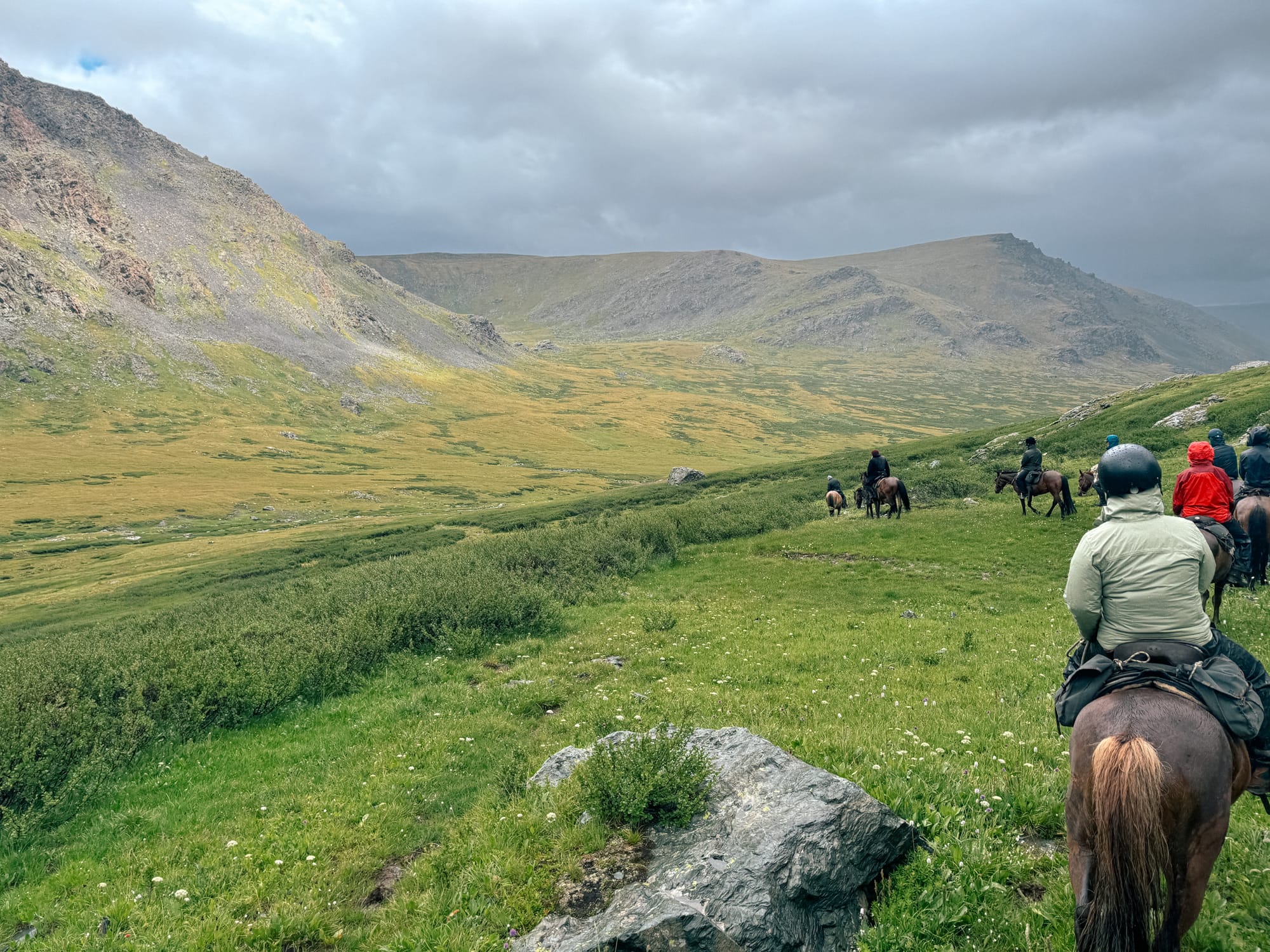 tourists horse trekking in Altai national park. Green grass and brown mountains