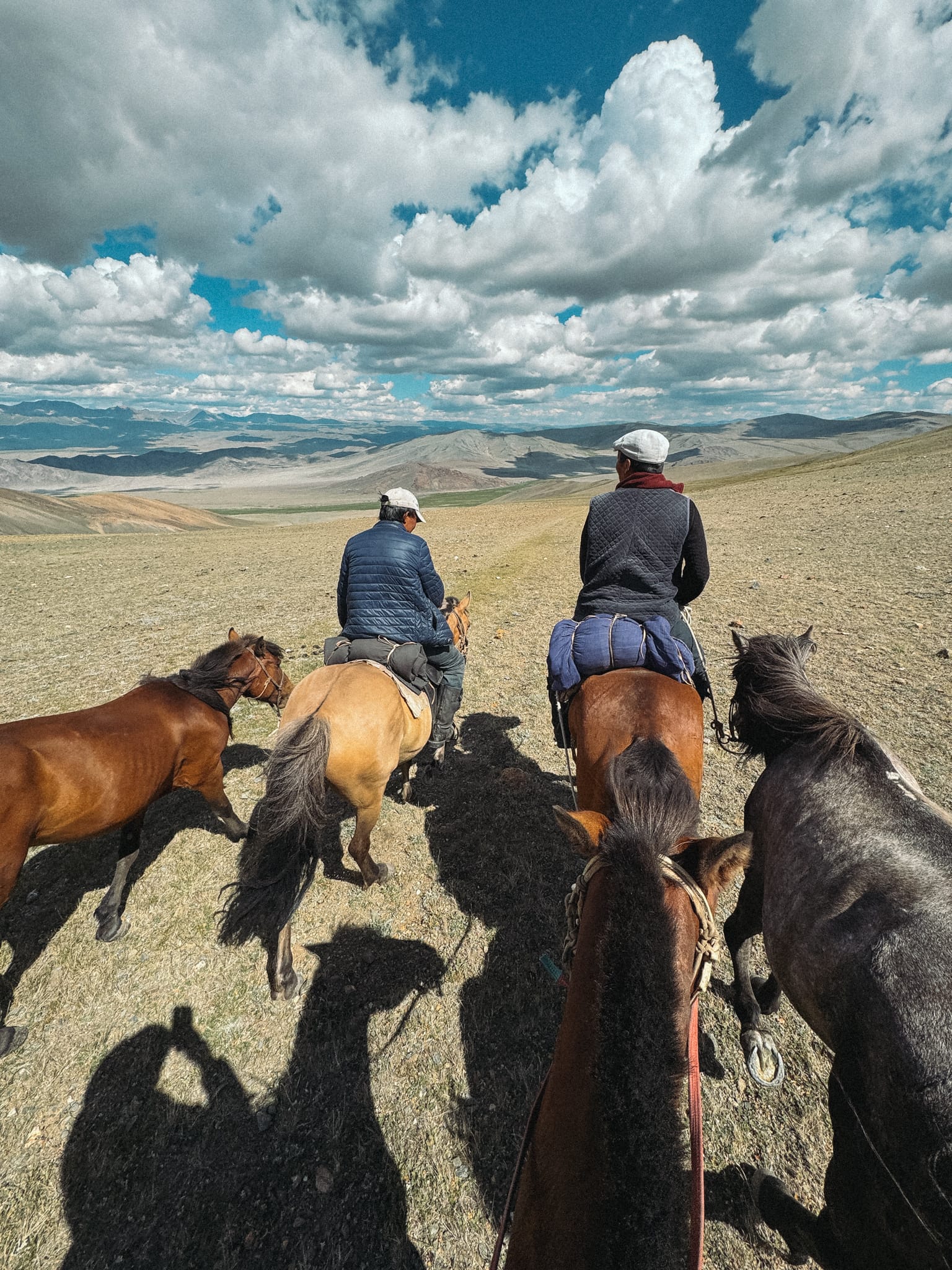 mongolian altai horse trekking