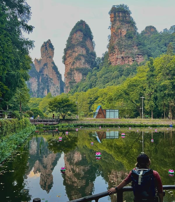 Author with back facing camera posing in front of Zhangjiajie (tall rocky pillars) with a pond with reflections